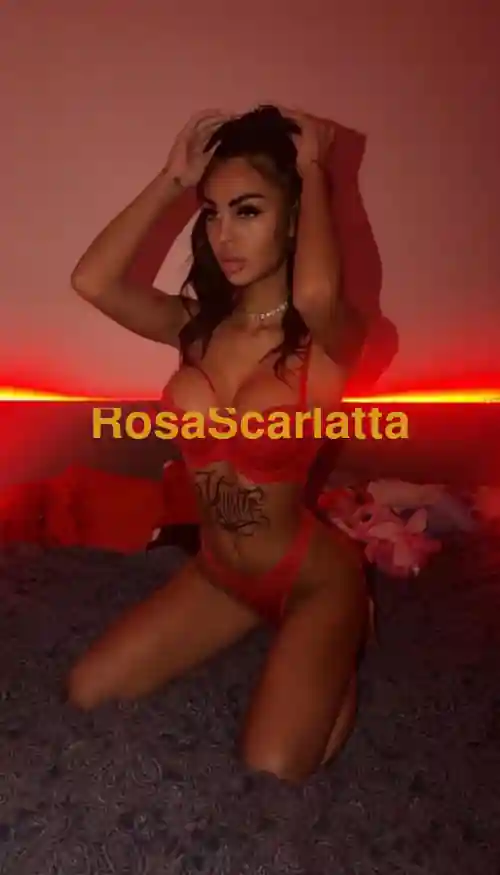 Seconda immagine della gallery