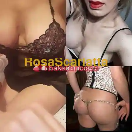 Terza immagine della gallery