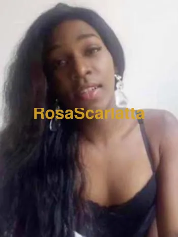 Lucrezia trans xl attiva