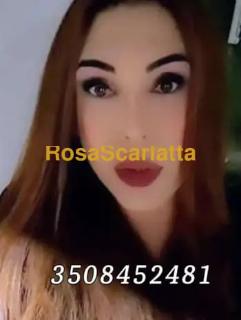 Prima immagine della gallery