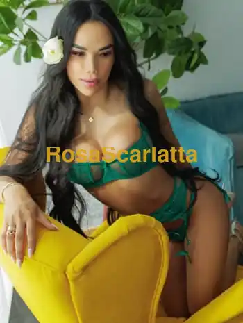 Abbey toeni - Brescia