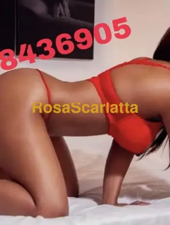 Prima immagine della gallery