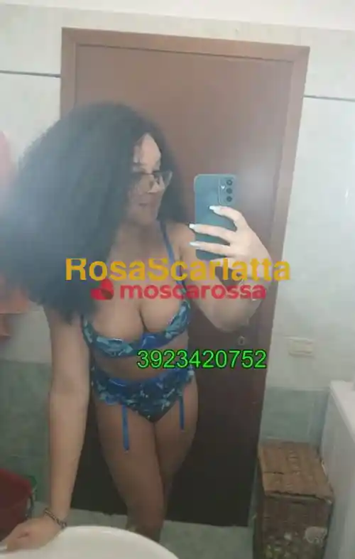 Seconda immagine della gallery