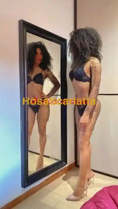 Terza immagine della gallery