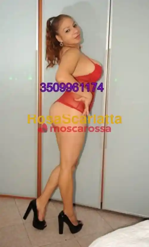 Terza immagine della gallery