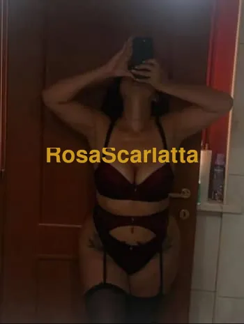 Sofia - Roma