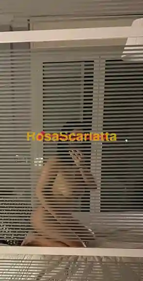 Seconda immagine della gallery