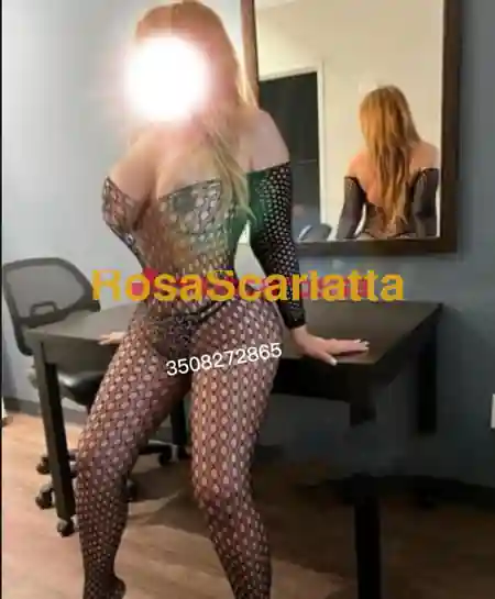 Terza immagine della gallery