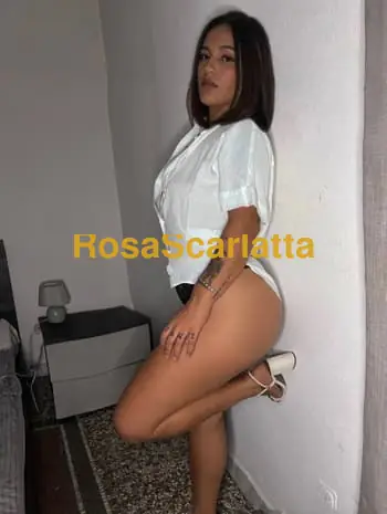 Barbara brasiliana - Roma