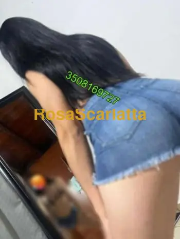 Camilla trans