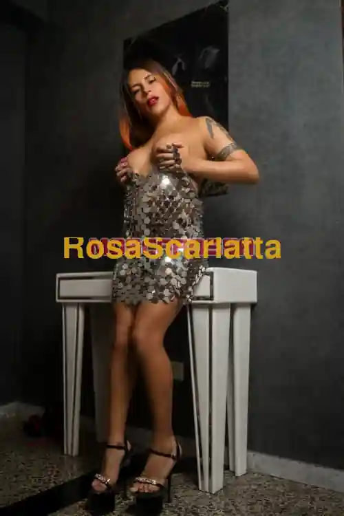 Seconda immagine della gallery