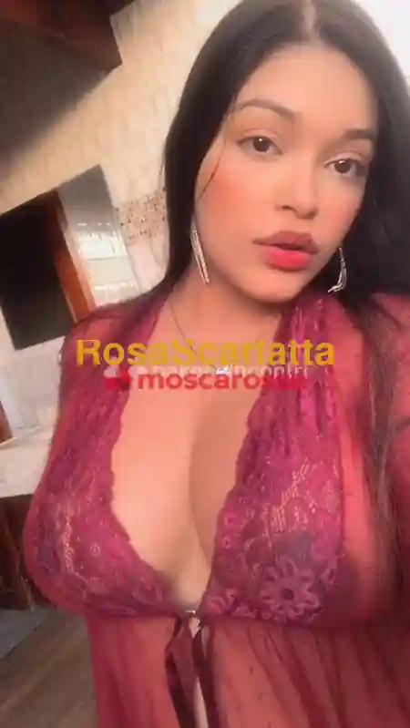 Seconda immagine della gallery