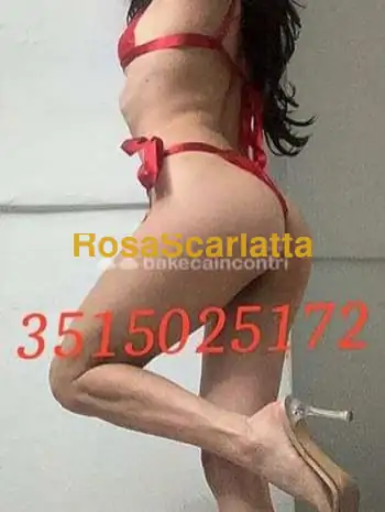 Prima immagine della gallery